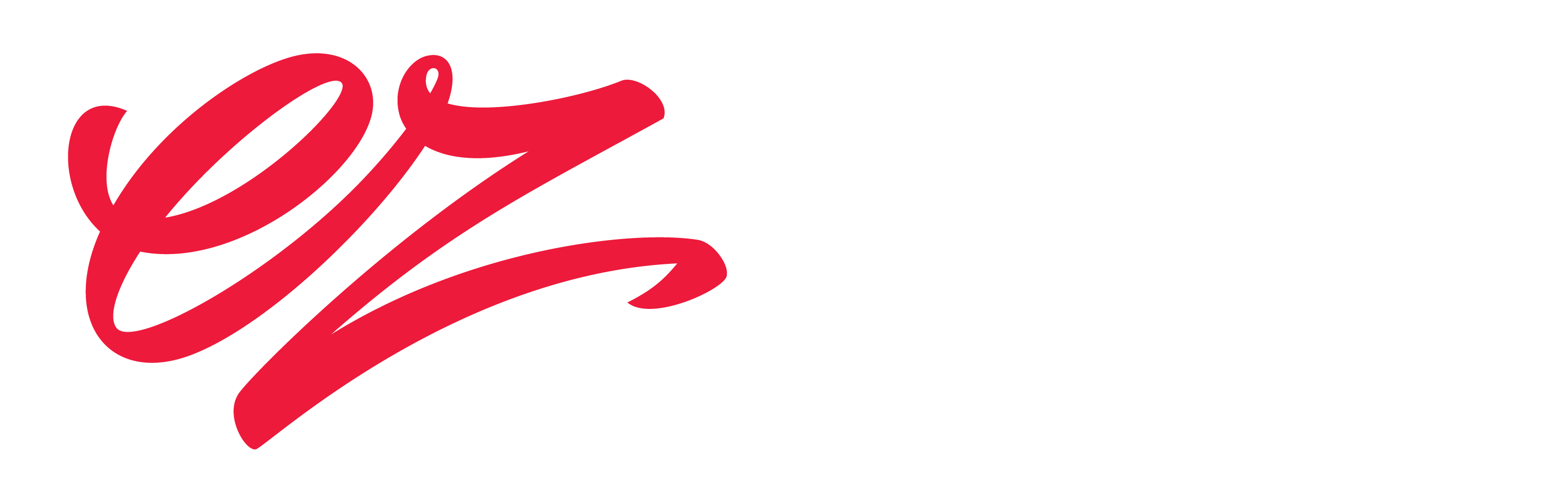 LOGO_FIN-07